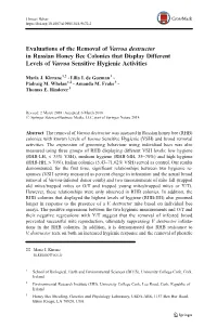 Evaluations of the Removal of Varroa Destructor in Russian Honey Bee Colonies That Display Different Levels of Varroa Sensitive Hygienic Activities