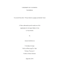 Chinese Internet Language and Identity Trends A
