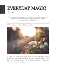 EVERYDAY MAGIC Bokeh