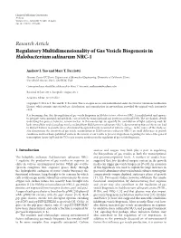 Halobacterium Salinarum NRC-1
