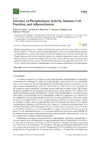 Interface of Phospholipase Activity, Immune Cell Function, and Atherosclerosis