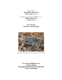 Mississippi Gopher Frog (Rana Capito Sevosa) Dusky Gopher Frog