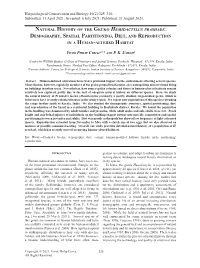 Natural History of the Gecko Hemidactylus Prashadi: Demography, Spatial Partitioning, Diet, and Reproduction in a Human-Altered Habitat