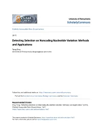 Detecting Selection on Noncoding Nucleotide Variation: Methods and Applications
