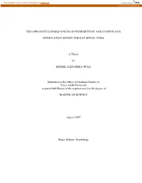 The Opponent Consequences of Intermittent and Continuous
