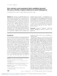 Does Selective Wood Exploitation Affect Amphibian Diversity? the Case of An’Ala, a Tropical Rainforest in Eastern Madagascar