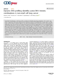 Dynamic BH3 Profiling Identifies Active BH3 Mimetic Combinations in Non-Small Cell Lung Cancer