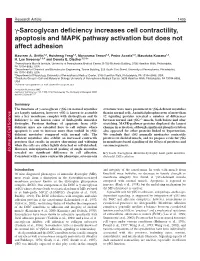 Γ-Sarcoglycan Deficiency Increases Cell Contractility, Apoptosis And
