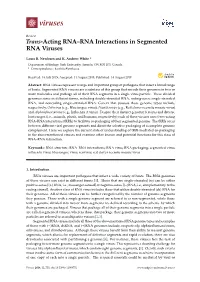 Trans-Acting RNA–RNA Interactions in Segmented RNA Viruses