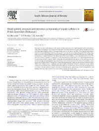 Development, Structure and Secretion Compounds of Stipule Colleters in Pentas Lanceolata (Rubiaceae)