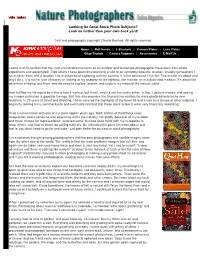 Nature Stock Photography Articles? Send Them to the Editor
