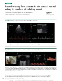 Reverberating Flow Pattern in the Central Retinal Artery in Cerebral