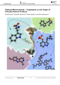 L‐Tryptophan As the Origin of Psilocybe Natural Products