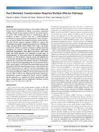 Rac3-Mediated Transformation Requires Multiple Effector Pathways