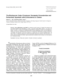 The Brachyuran Crabs (Crustacea: Decapoda: Eumedonidae and Portunidae) Symbiotic with Echinoderms in Taiwan Peter K