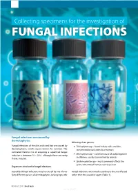 Fungal Infections Fungal Micrographs from Public Health Image Library, Center for Disease Control Library, Image Fungal Micrographs from Public Health