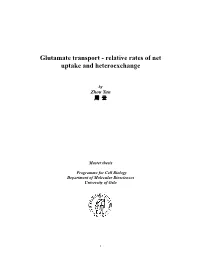 Glutamate Transport - Relative Rates of Net Uptake and Heteroexchange