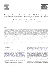 Nereis Diversicolor and Saduria Entomon)On the Redistribution and Biomass of Macroalgae on Marine Soft Bottoms