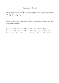 PDF-Document