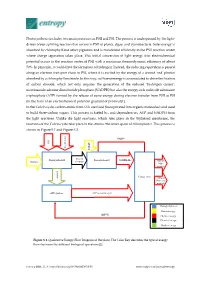 Photosynthesis Includes Two Main Processes As PSII and PSI