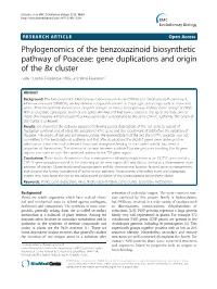 Phylogenomics of the Benzoxazinoid Biosynthetic Pathway of Poaceae: Gene Duplications and Origin of the Bx Cluster