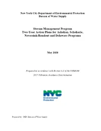 Stream Management Program Two-Year Action Plans for Ashokan, Schoharie, Neversink/Rondout and Delaware Programs