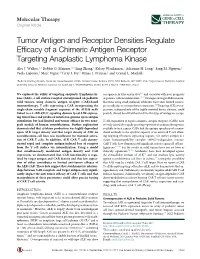 Tumor Antigen and Receptor Densities Regulate Efficacy of A