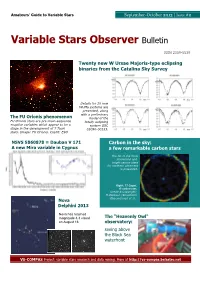 Variable Stars Observer Bulletin