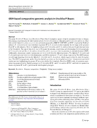 GISH-Based Comparative Genomic Analysis in Urochloa P. Beauv
