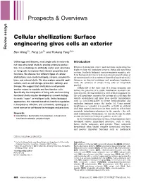 Cellular Shellization: Surface Engineering Gives Cells an Exterior Review Essays Ben Wang1)Y, Peng Liu1)Y and Ruikang Tang1)2)
