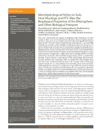 Microhydrological Niches in Soils: How Mucilage and EPS Alter The