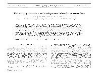 Patch Dynamics of Eelgrass Zostera Marina