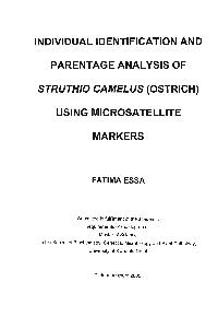 Individual Identification and Parentage Analysis of Struthio Camelus