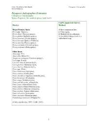 Pityogenes Chalcographus Survey Reference