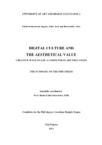 Digital Culture and the Aesthetical Value
