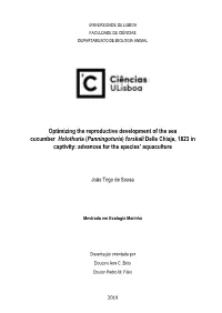 Optimizing the Reproductive Development of the Sea Cucumber
