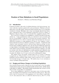 Fixation of New Mutations in Small Populations