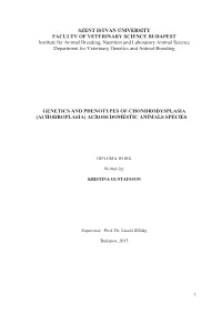 Gustafssonkristinathesis.Pdf (607.8Kb)