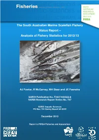 The South Australian Marine Scalefish Fishery Status Report -Analysis Of
