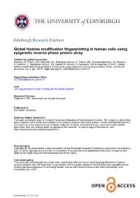 Global Histone Modification Fingerprinting in Human Cells Using Epigenetic Reverse Phase Protein Array