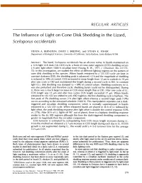 The Influence of Light on Cone Disk Shedding in the Lizard, Sceloporus Occidentalis