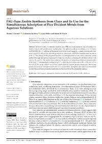FAU-Type Zeolite Synthesis from Clays and Its Use for the Simultaneous Adsorption of Five Divalent Metals from Aqueous Solutions