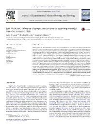 Influence of Temperature on Two Co-Occurring Intertidal Barnacles in Central Chile