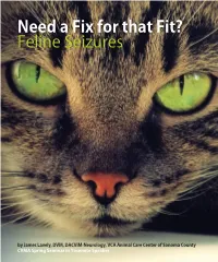 Need a Fix for That Fit? Feline Seizures