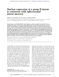 Nuclear Expression of a Group II Intron Is Consistent with Spliceosomal Intron Ancestry