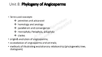 Phylogeny of Angiosperms