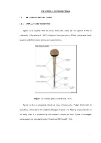 Chapter 1: Introduction