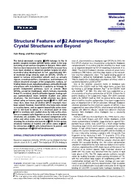 Structural Features of Β2 Adrenergic Receptor
