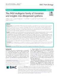 The P450 Multigene Family of Fontainea and Insights Into Diterpenoid Synthesis Shahida A