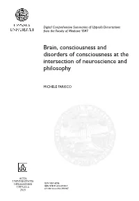 Brain, Consciousness and Disorders of Consciousness at the Intersection of Neuroscience and Philosophy